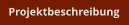 Projektbeschreibung